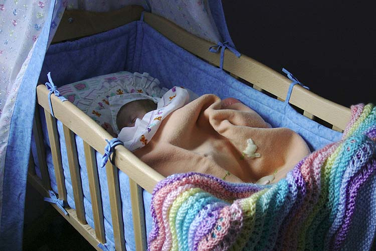 Asleep in Her Cradle