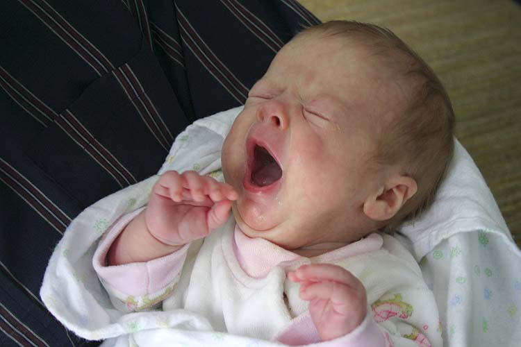 Yawn