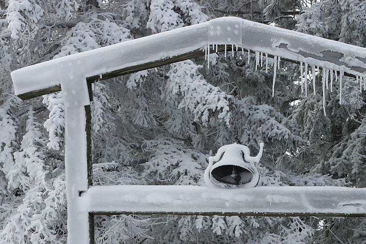 Frozen Bell