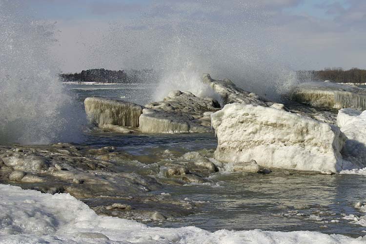 Wild Shoreline