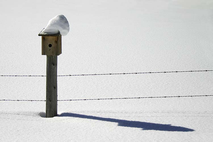 Alone, with Hat