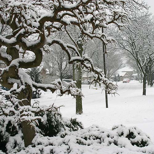 Snowy Subdivision