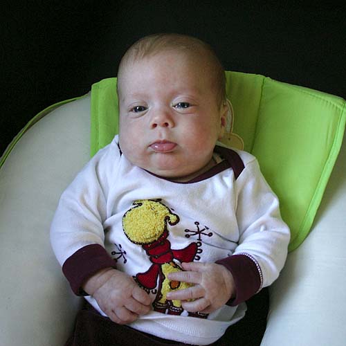 Back in the Baby Support