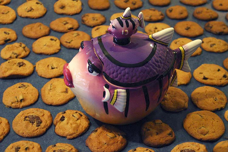 Low Calorie Cookies