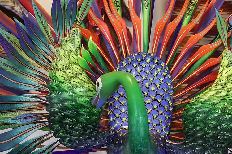 Peacock