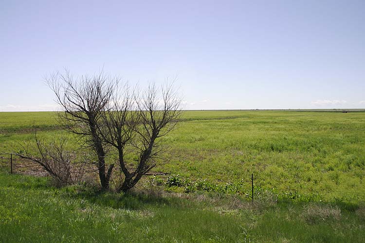 Bush in Texas