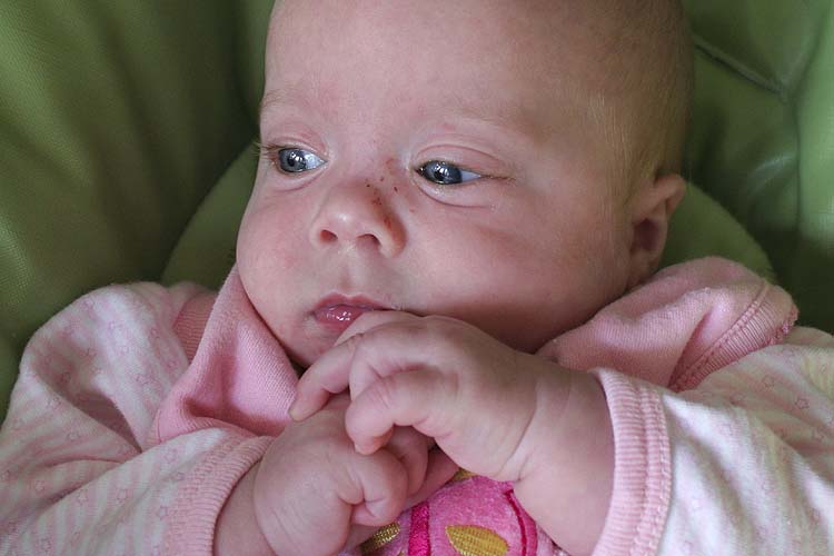 Contemplation
