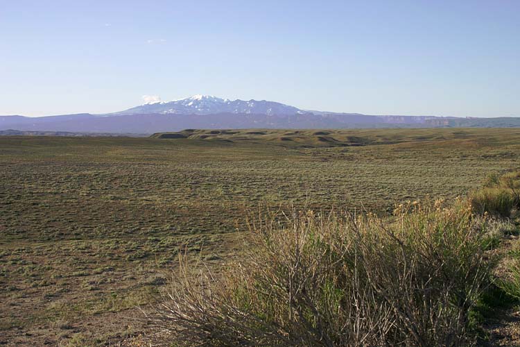 Rolling Ranchlands