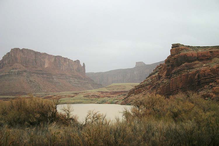 River in the Rain