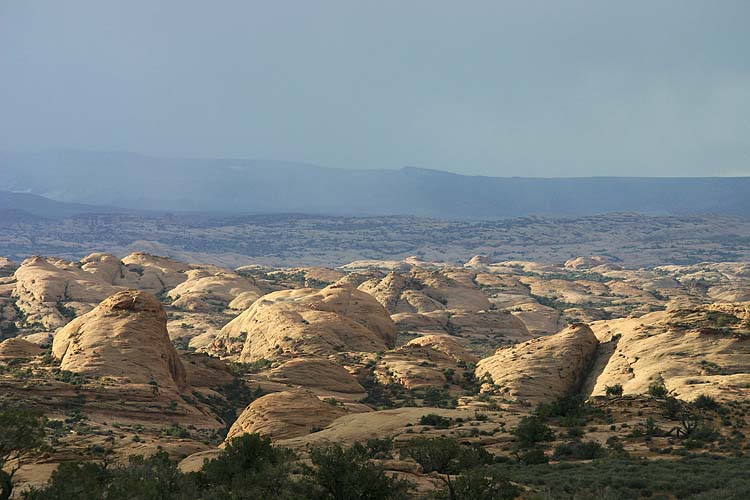 Petrified Dunes