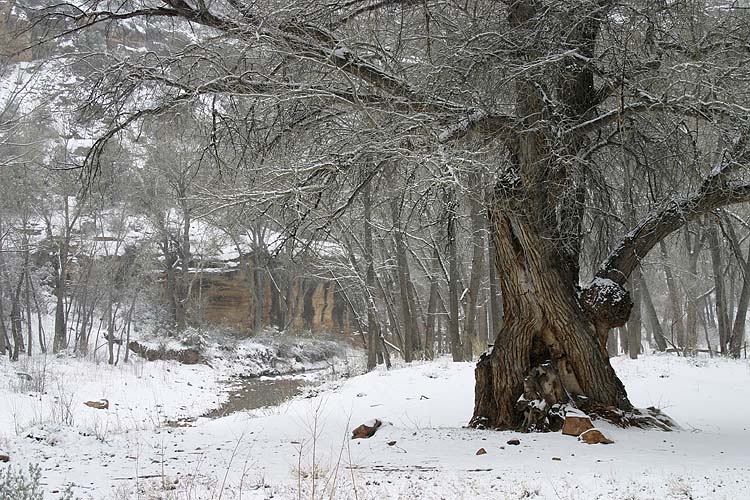 Indian Creek