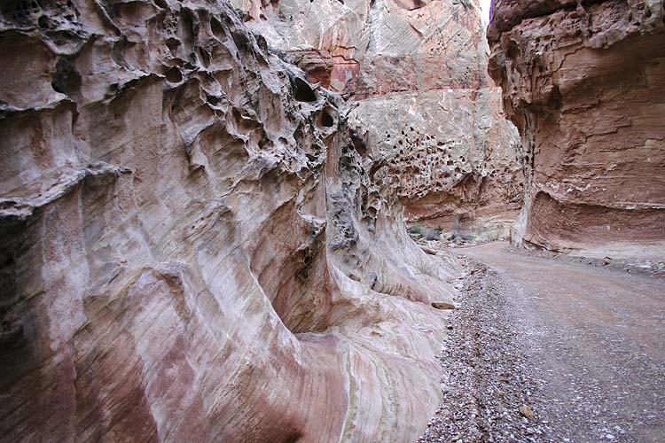 Into the Gorge