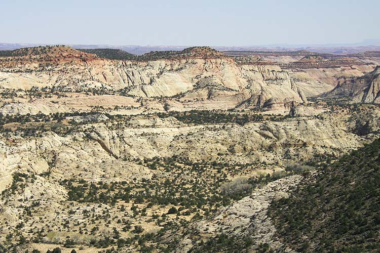 Rocky Landscape