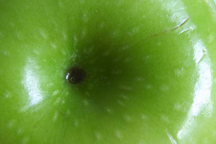 Granny Smith