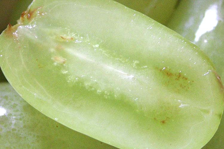 Seedless?