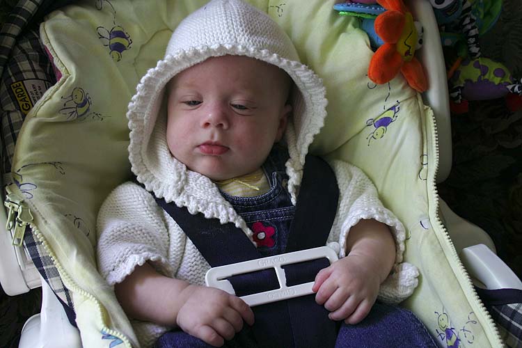 In the Car Seat