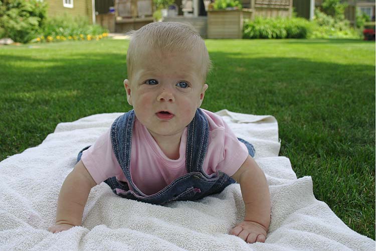 On the Grass