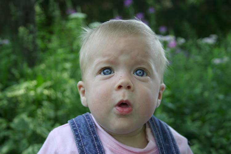 Wonderment