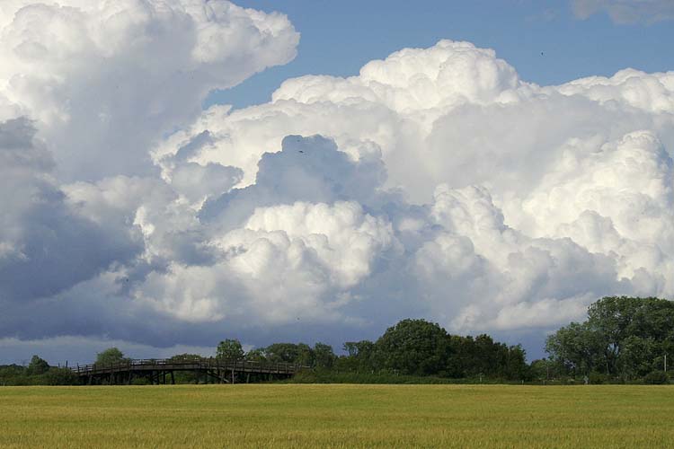 Cloudy Day