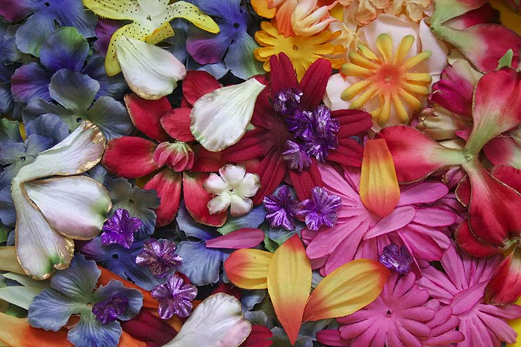 Petals