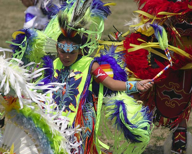 Whirl of Feathers and Ribbons