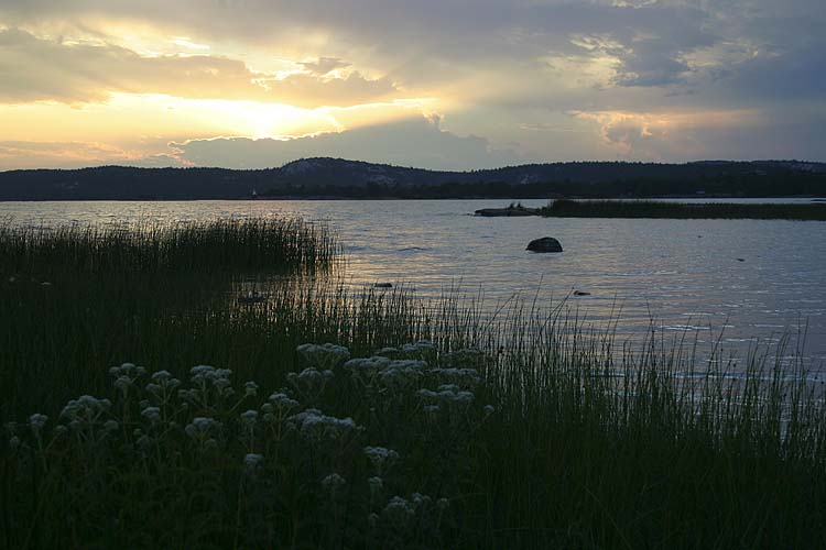 Another Sunset