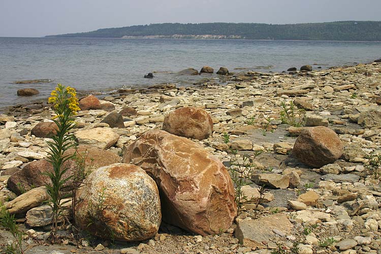 Rocky Shoreline