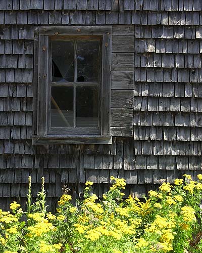 The Window