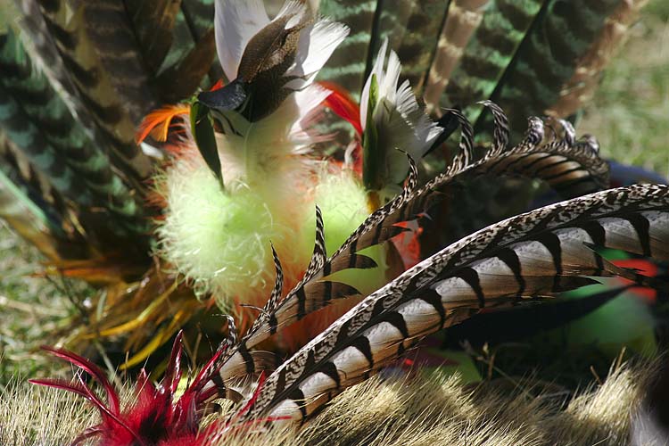 Feathers
