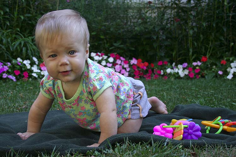 Ready to Crawl