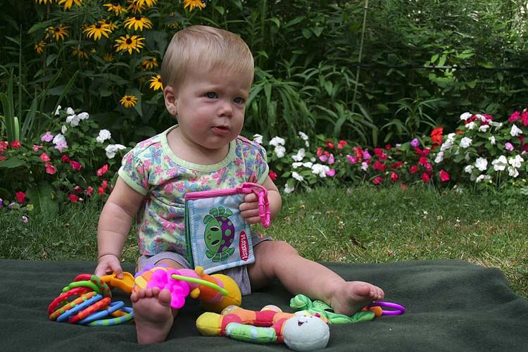 Surrounded by Toys