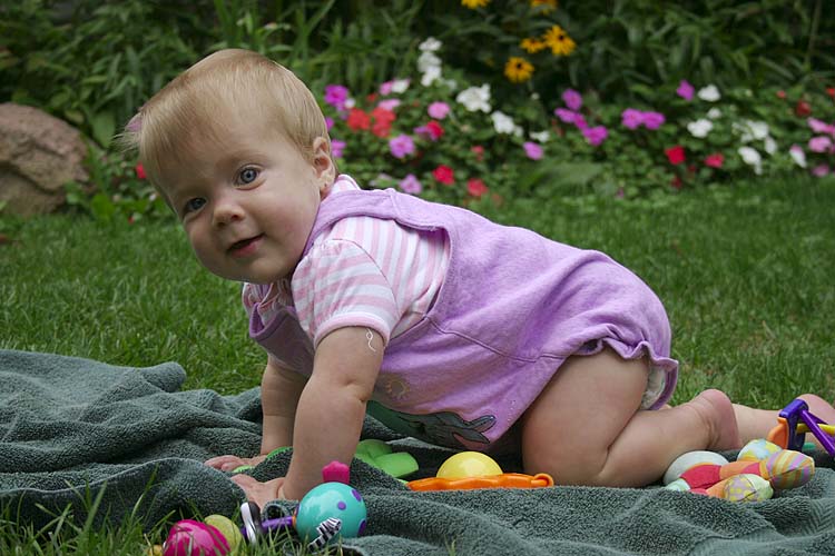 Ready, Set, Crawl