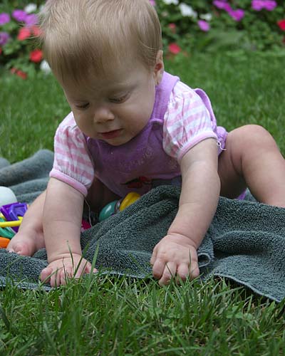 Checking Out the Grass