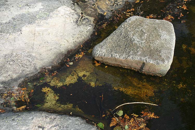 Rock In A Pool