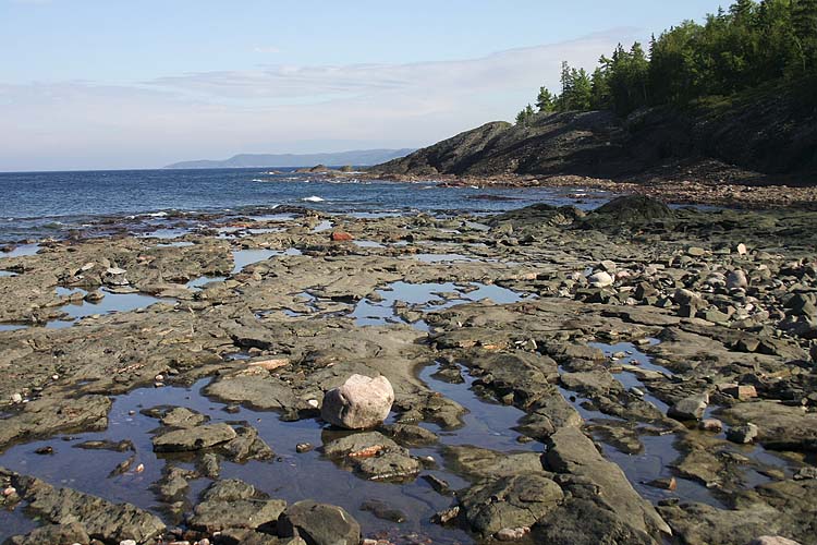 Exposed Rocks