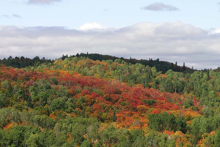 Algoma Hillside