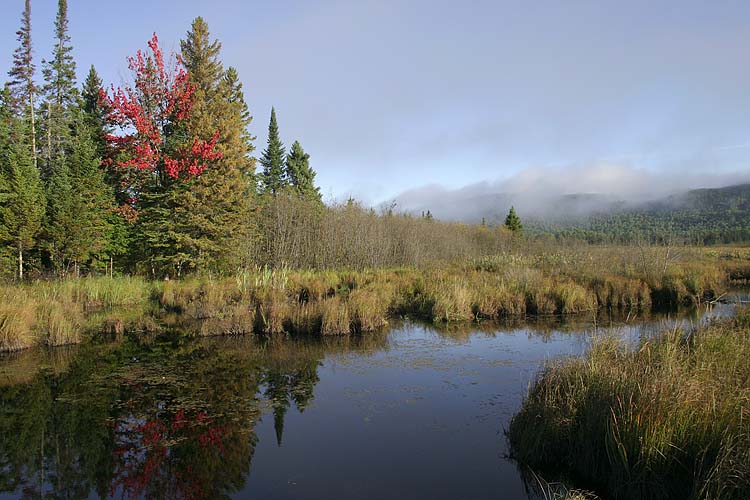 Morning Mist