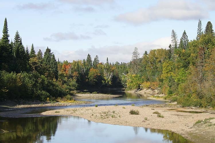 Another View of the River