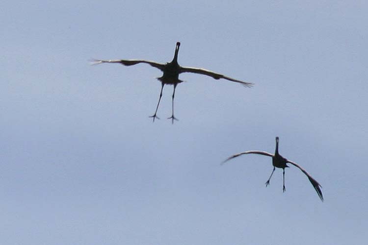 Two More