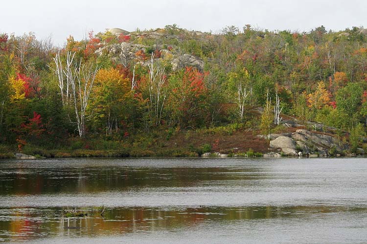 Near Sudbury