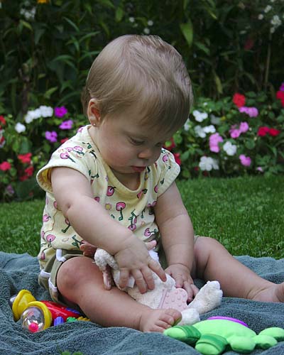 Rachel\'s Bunny