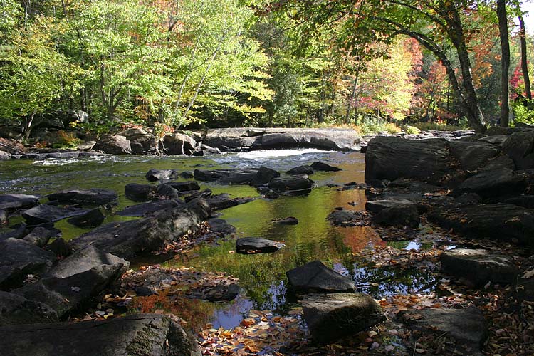 Autumn Along the Oxtongue