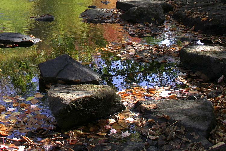 Reflection