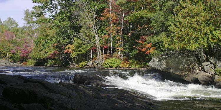 Rapids Along the Oxtongue