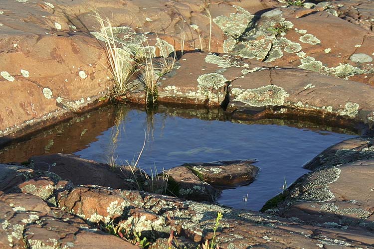 Pool In The Rocks