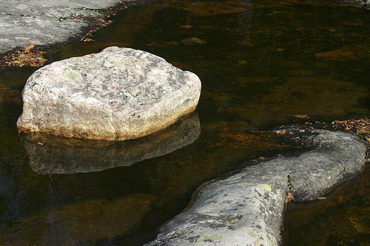 Rock In A Pool