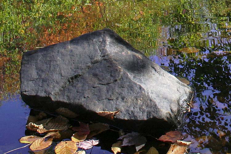Rock In The River