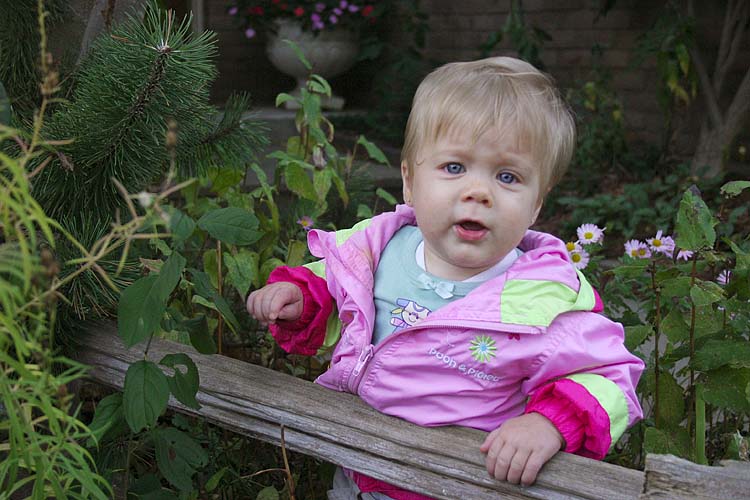 By The Fence