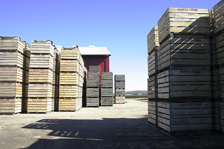 Ready For Shipping