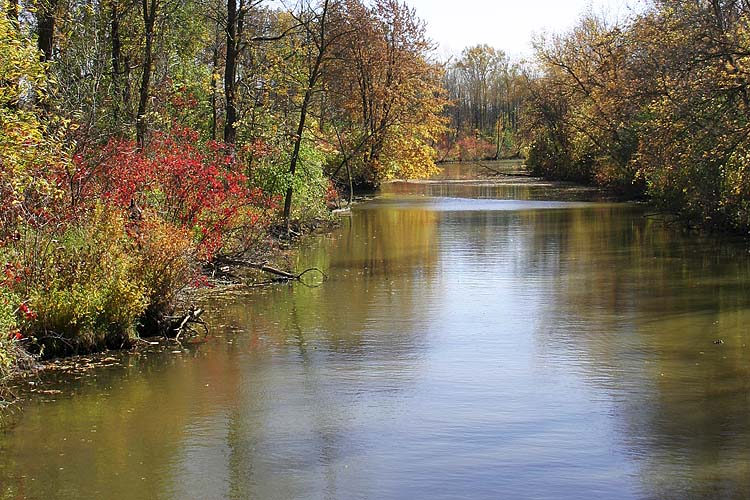 The Canal